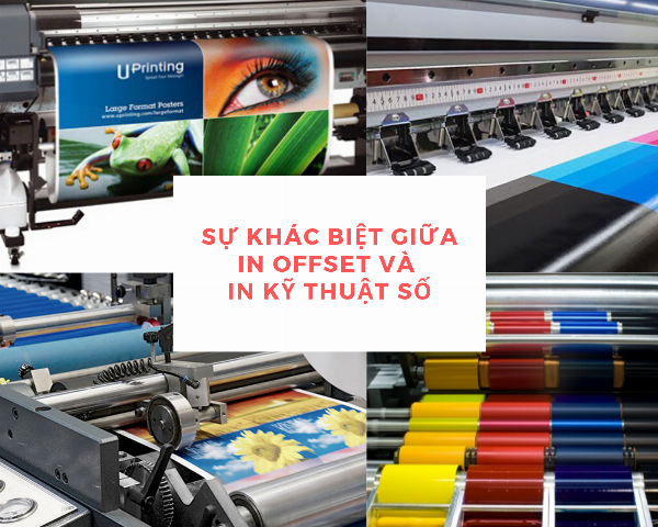 So sánh in kỹ thuật số vs in offset trên máy in hiện đại khổ lớn